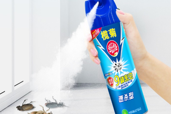 Insecticide Spray